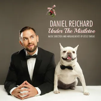 Under the Mistletoe by Daniel Reichard