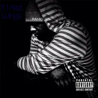 If I Had Wings by Shice