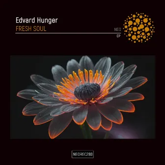 Fresh Soul EP by Edvard Hunger