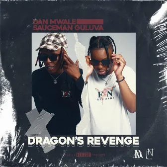 Dragon's Revenge by 