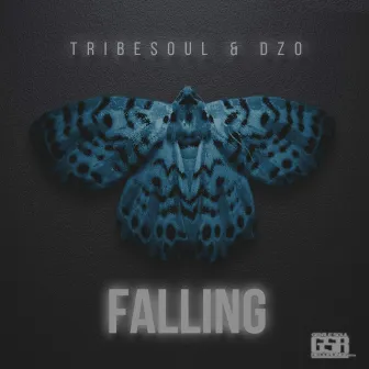 Falling by Tribesoul