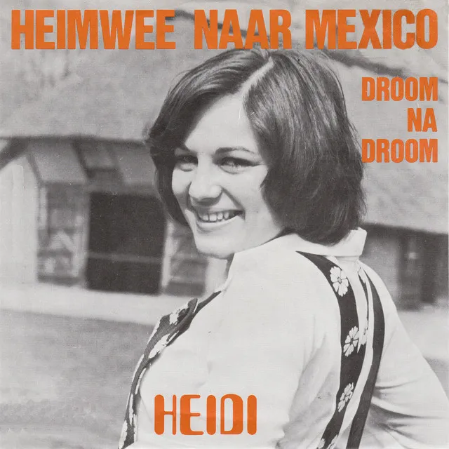 Heidi Droom Na Droom