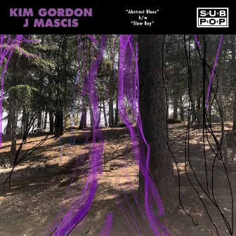 Abstract Blues by Kim Gordon