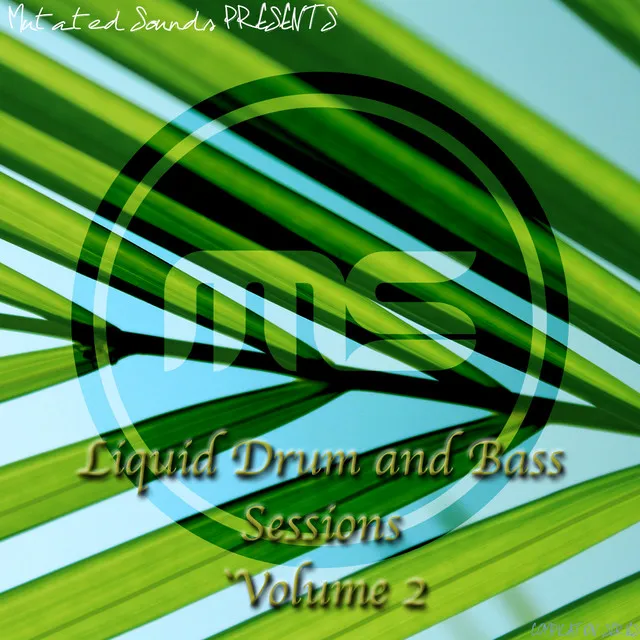 Liquid Drum and Bass Sessions (Vol. 2)