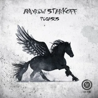 Pegasus by Andrew Starkoff