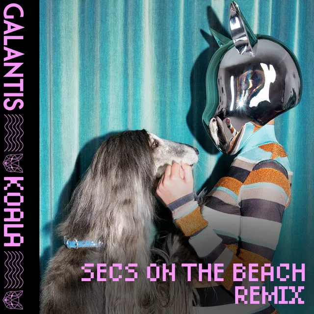 Koala - secs on the beach Remix