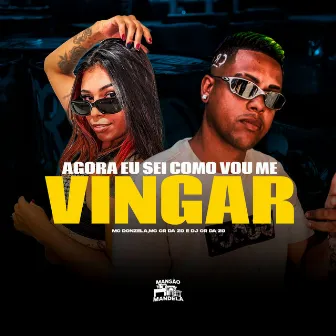 Agora Eu Sei Como Vou Me Vingar by MC CR DA ZO