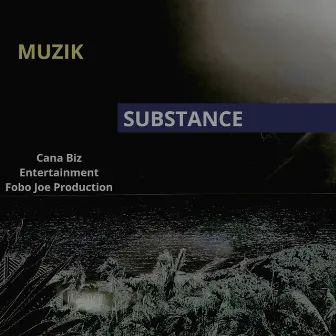 Muzik by Substance