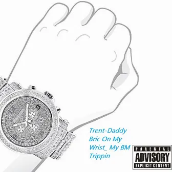 Bric on My Wrist by Trent-Daddy