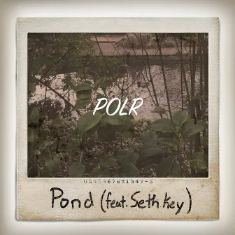 Pond by POLR