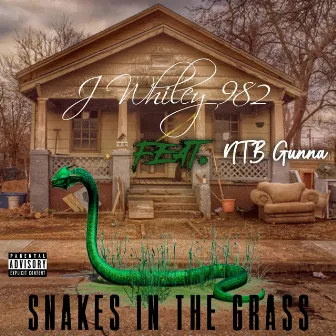 Snakes in the Grass by j.whiley982