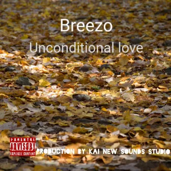 Unconditional Love by Unknown Artist