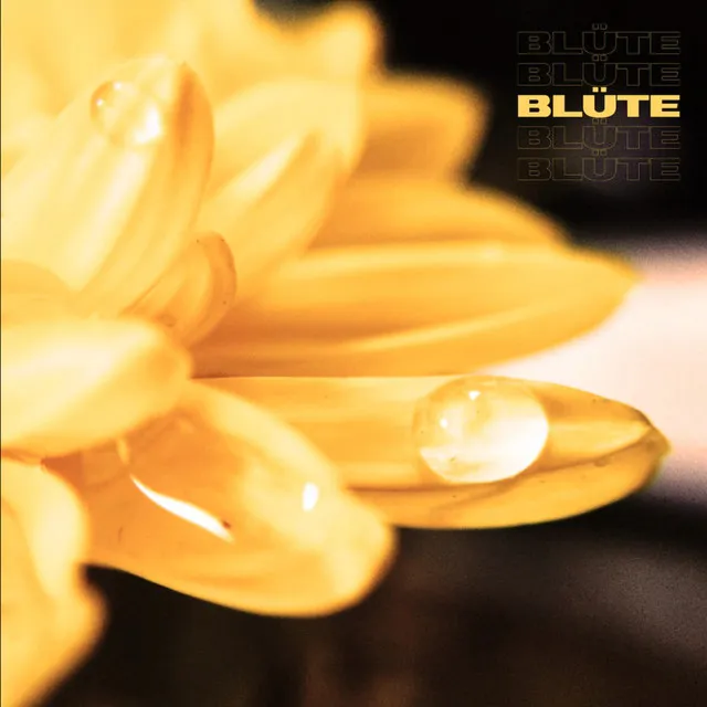 Blüte