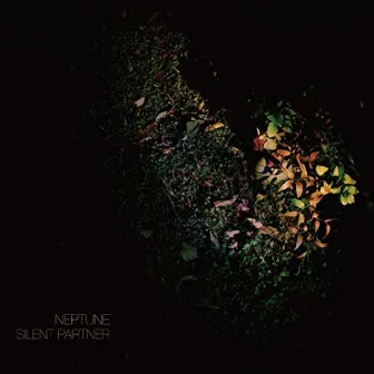 Silent Partner by Neptune