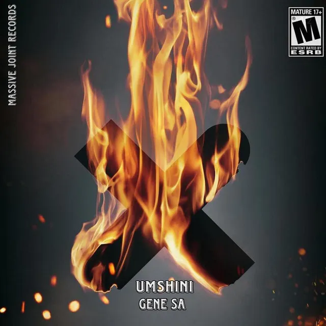 Umshini vol6