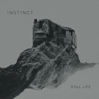 Still Life by Instinct (UK)