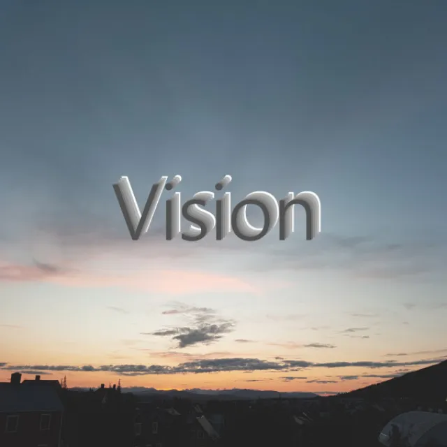 Vision