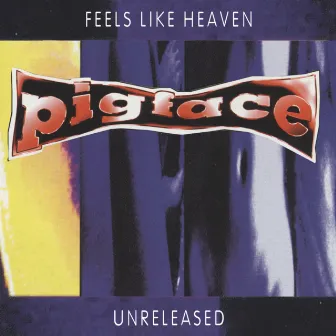 Feels Like Heaven...Sounds Like Shit! - Unreleased by Pigface