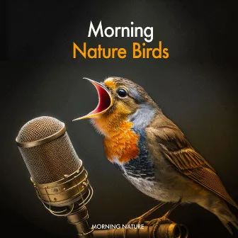 Morning Nature Birds by Morning Nature