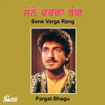 Sone Varga Rang by Pargat Bhagu