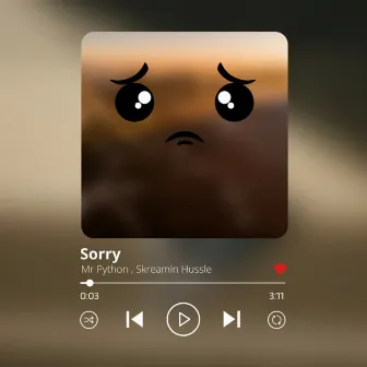 Sorry by Mr Python