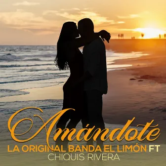 Amandote by La Original Banda el Limon