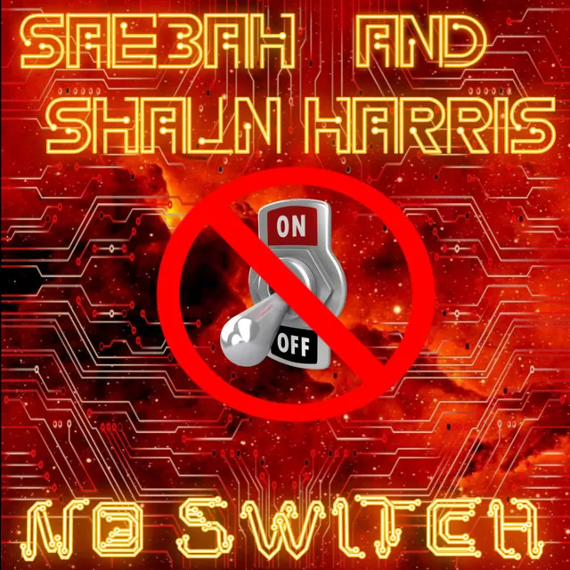 NO SWITCH