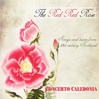 The Red Red Rose by Concerto Caledonia