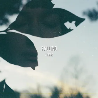 Falling by Amess