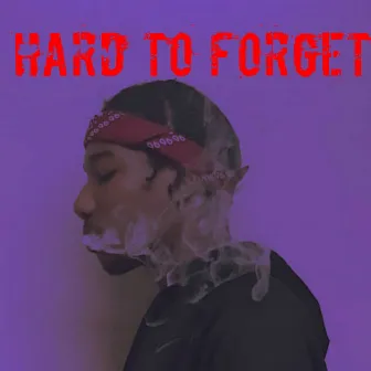 Hard to Forget by Hades