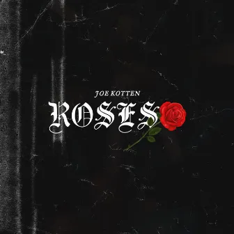 Roses by joe kotten