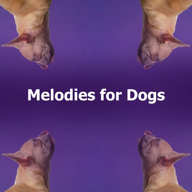 Melodies for Dogs