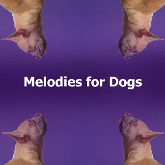 Melodies for Dogs by Music for Puppies