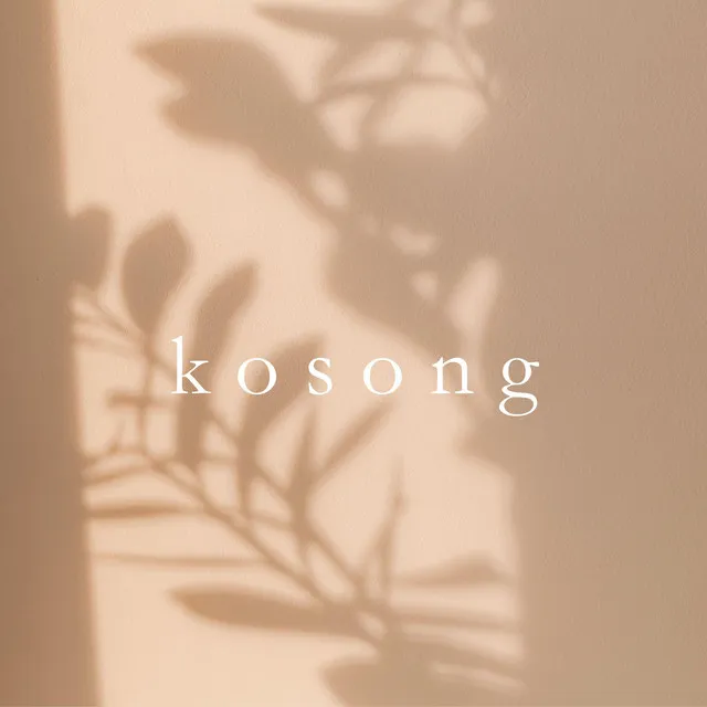 k o s o n g