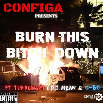 Burn This Bitch Down by Configa