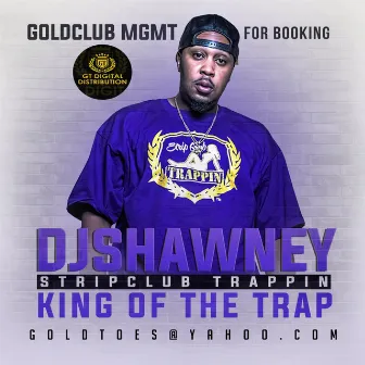 CRAZY ( Going crazy ) by DJ SHAWNEY