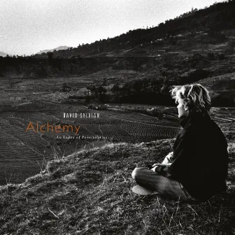 Alchemy: An Index Of Possibilities (Remastered 2003) by David Sylvian