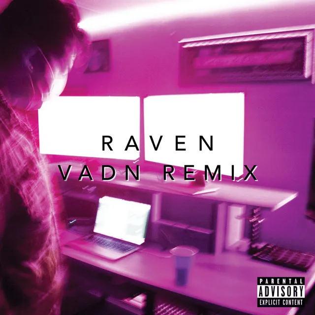 Raven - Vadn Remix