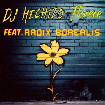 Florece by Dj Hechizo