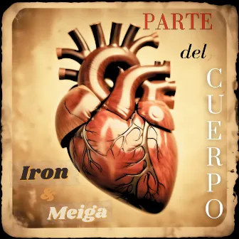 Parte del Cuerpo by Iron