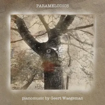 Paramelodics by Geert Waegeman