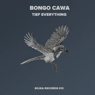 Bongo Cawa by Tief Everything