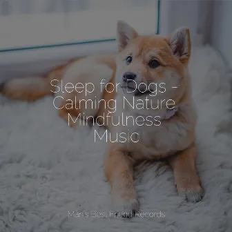 Sleep for Dogs - Calming Nature Mindfulness Music by Relaxing Music for Dogs