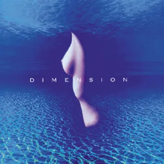 FIRST DIMENSION by DIMENSION