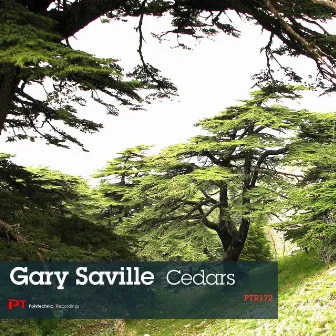 Cedars by Gary Saville