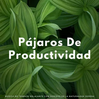 Pájaros De Productividad: Música De Trabajo Relajante Con Sonidos De La Naturaleza Serena by Canciones de animales y pájaros