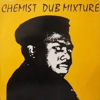 Dub Mixture by Peter Chemist