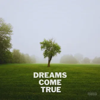 Dreams Come True by Lord Vizion