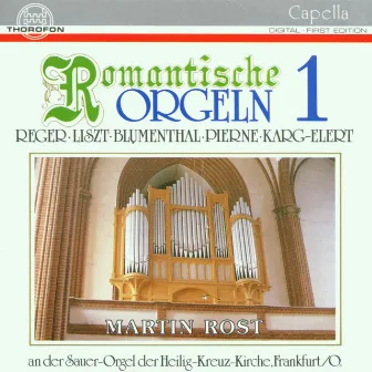 Romantische Orgeln Vol. 1 by Martin Rost