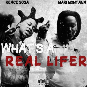 WHAT'S A REAL LIFER by Mari Montana